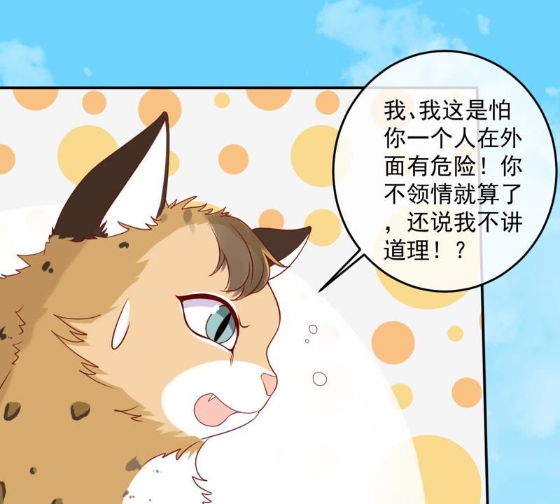 《世无良猫》漫画最新章节第29话 追妻火葬场免费下拉式在线观看章节第【32】张图片