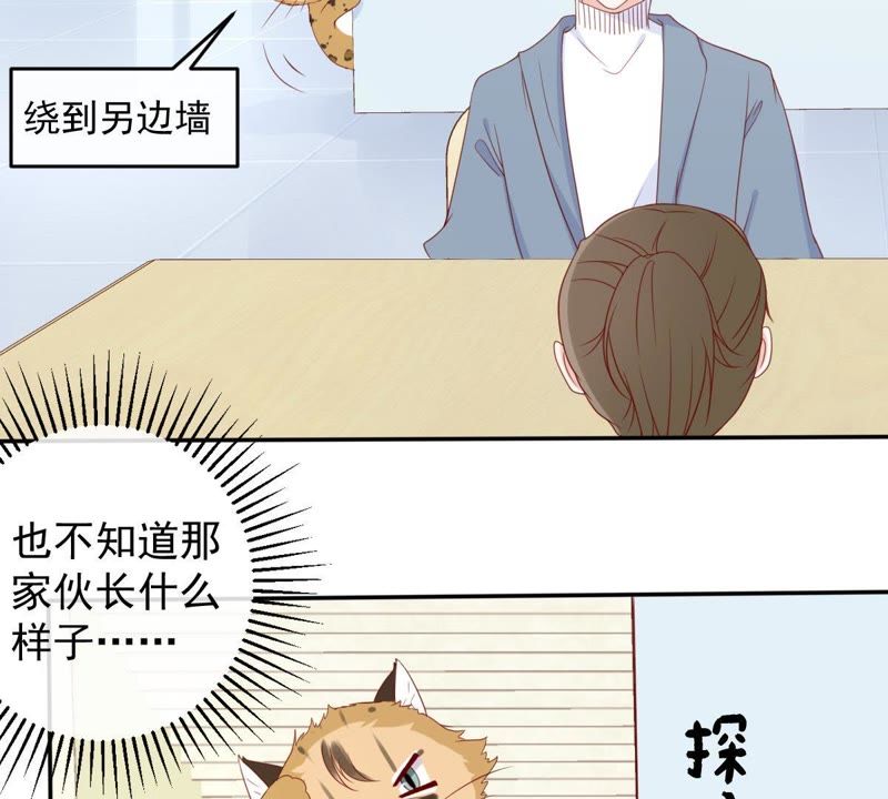 《世无良猫》漫画最新章节第29话 追妻火葬场免费下拉式在线观看章节第【4】张图片