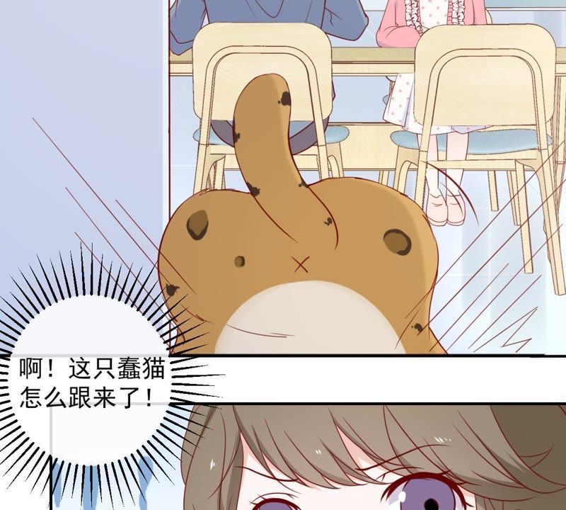 《世无良猫》漫画最新章节第29话 追妻火葬场免费下拉式在线观看章节第【9】张图片