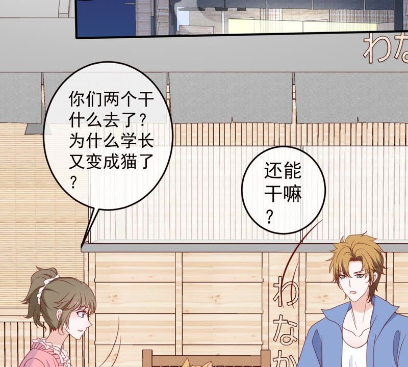 《世无良猫》漫画最新章节第31话 羊入虎口免费下拉式在线观看章节第【4】张图片