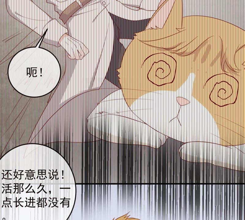 《世无良猫》漫画最新章节第31话 羊入虎口免费下拉式在线观看章节第【7】张图片