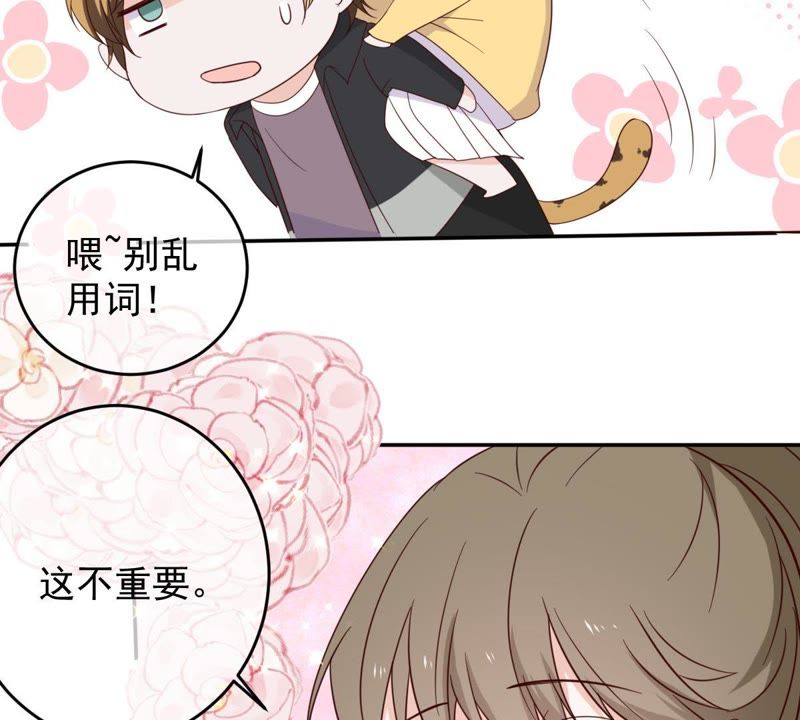 《世无良猫》漫画最新章节第33话 女友力爆棚免费下拉式在线观看章节第【52】张图片