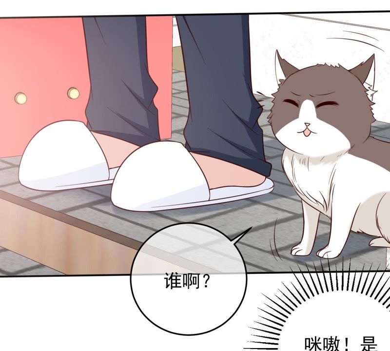 《世无良猫》漫画最新章节第36话 你也想杀我？免费下拉式在线观看章节第【48】张图片