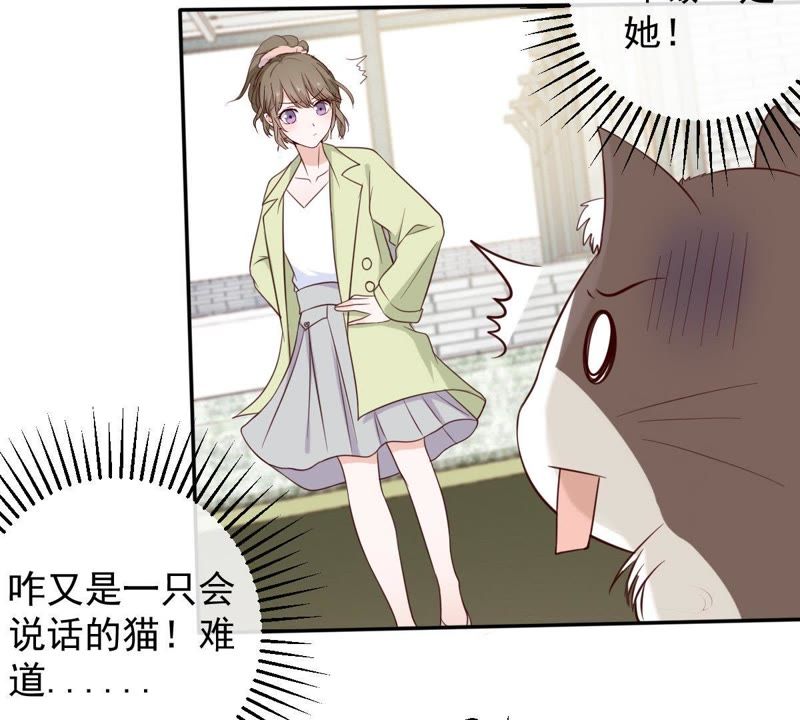 《世无良猫》漫画最新章节第36话 你也想杀我？免费下拉式在线观看章节第【49】张图片