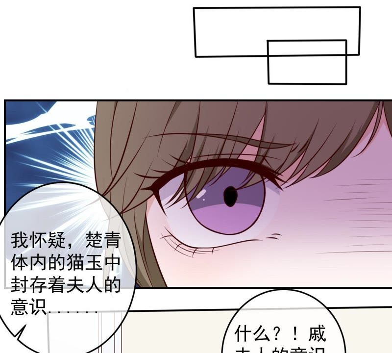 《世无良猫》漫画最新章节第36话 你也想杀我？免费下拉式在线观看章节第【5】张图片