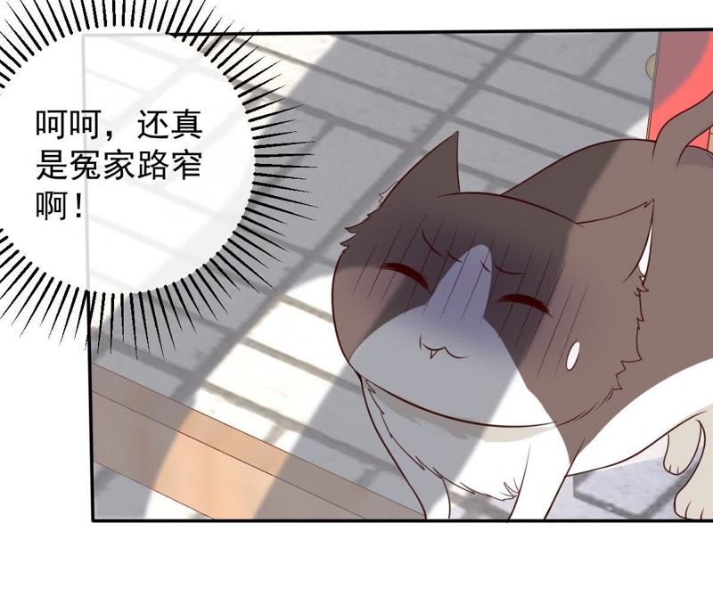 《世无良猫》漫画最新章节第36话 你也想杀我？免费下拉式在线观看章节第【53】张图片