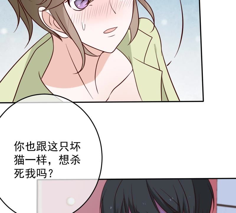 《世无良猫》漫画最新章节第36话 你也想杀我？免费下拉式在线观看章节第【60】张图片