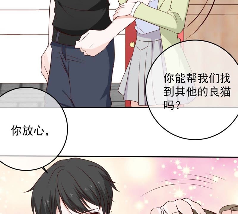 《世无良猫》漫画最新章节第37话 我们，可是很痴情的免费下拉式在线观看章节第【27】张图片