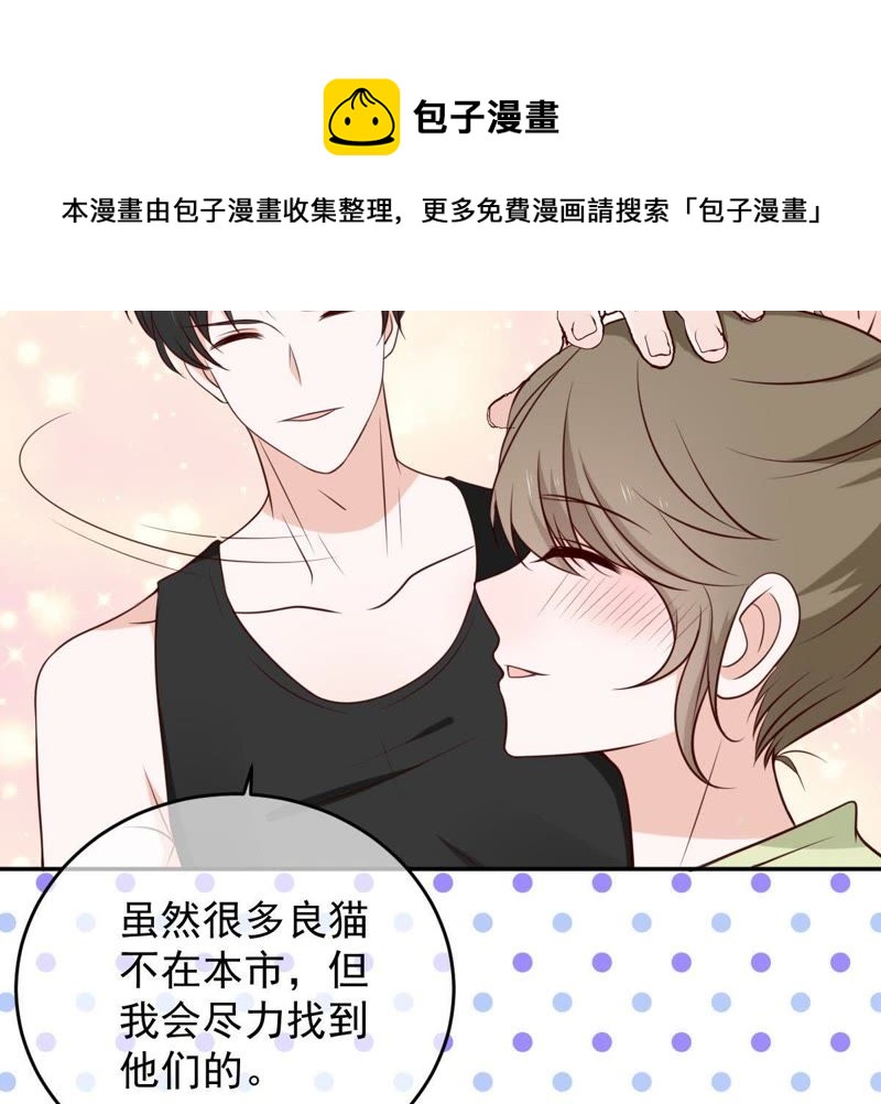 《世无良猫》漫画最新章节第37话 我们，可是很痴情的免费下拉式在线观看章节第【28】张图片