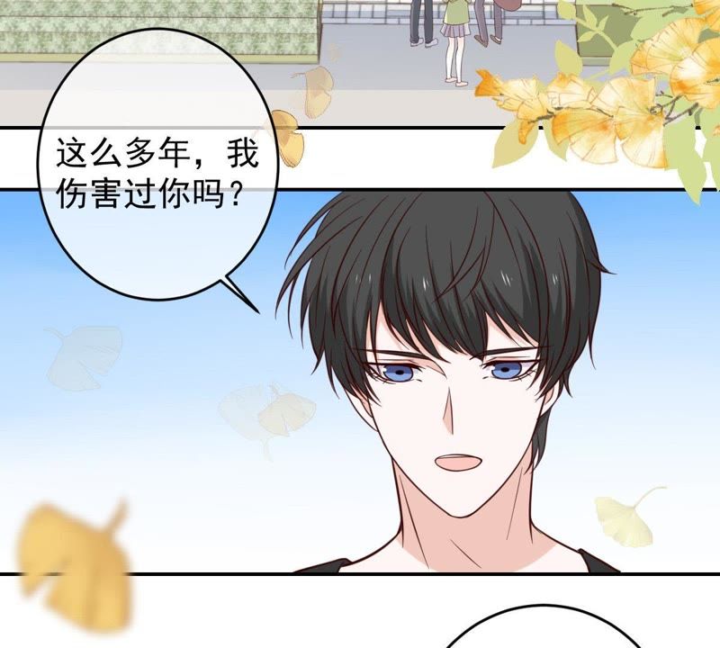 《世无良猫》漫画最新章节第37话 我们，可是很痴情的免费下拉式在线观看章节第【4】张图片