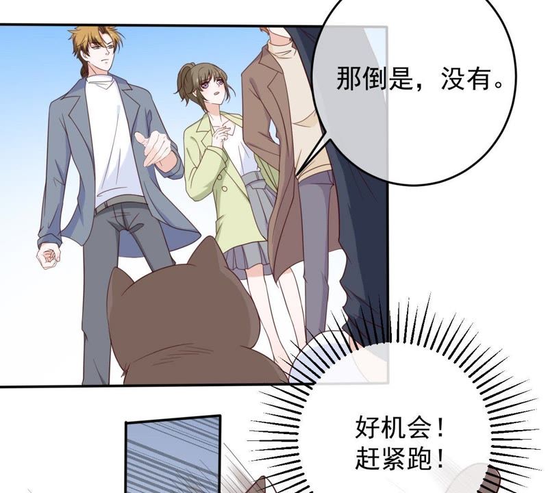 《世无良猫》漫画最新章节第37话 我们，可是很痴情的免费下拉式在线观看章节第【5】张图片