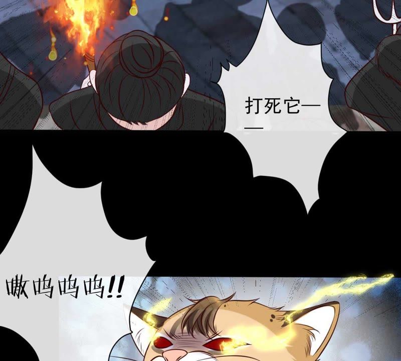 《世无良猫》漫画最新章节第39话 无止境的利用免费下拉式在线观看章节第【6】张图片