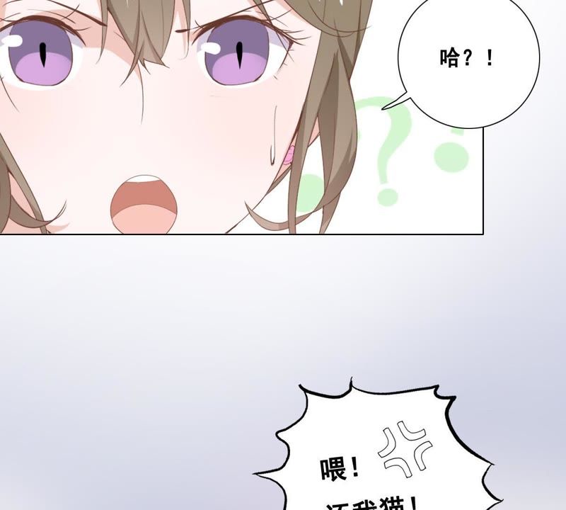 《世无良猫》漫画最新章节第4话 宿舍刺杀事件免费下拉式在线观看章节第【14】张图片