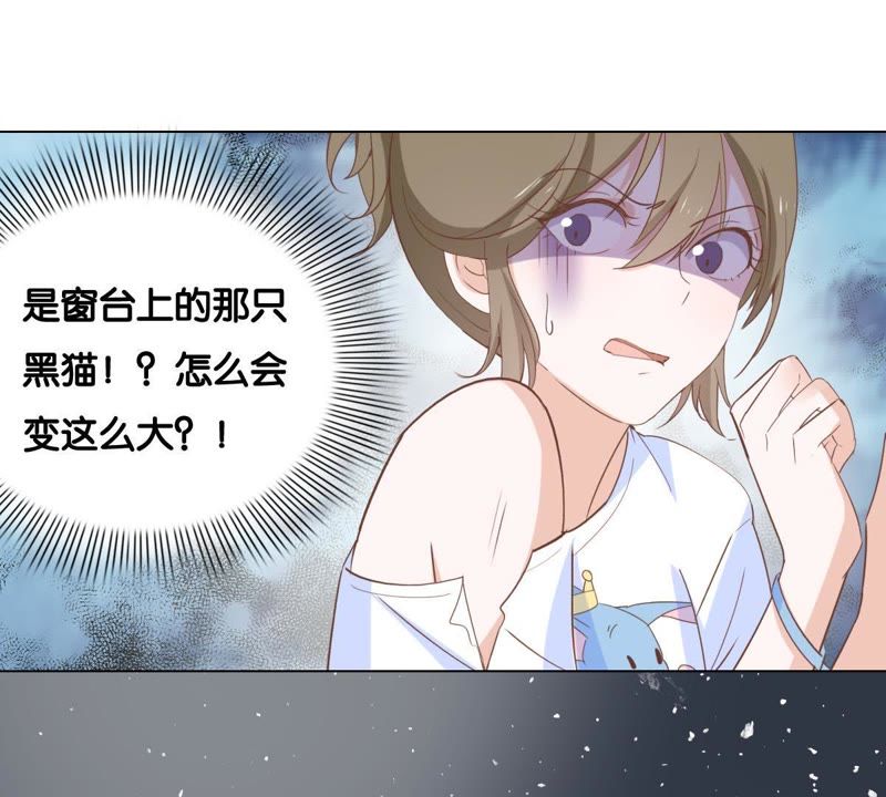 《世无良猫》漫画最新章节第4话 宿舍刺杀事件免费下拉式在线观看章节第【31】张图片