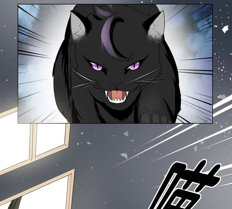 《世无良猫》漫画最新章节第4话 宿舍刺杀事件免费下拉式在线观看章节第【32】张图片