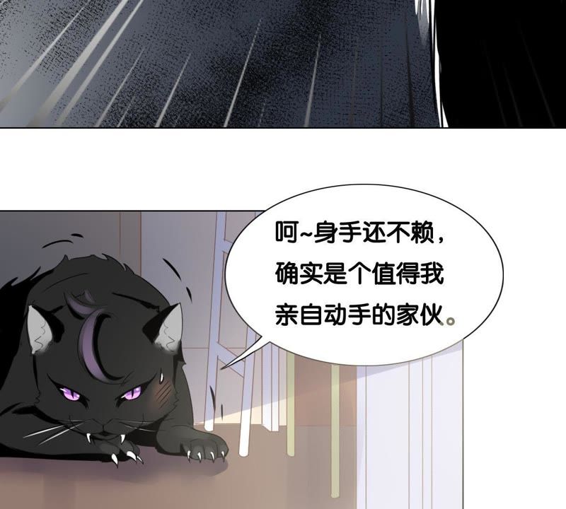 《世无良猫》漫画最新章节第4话 宿舍刺杀事件免费下拉式在线观看章节第【37】张图片