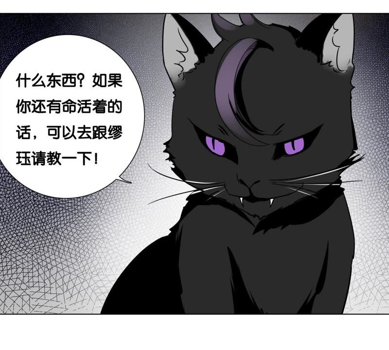 《世无良猫》漫画最新章节第4话 宿舍刺杀事件免费下拉式在线观看章节第【40】张图片