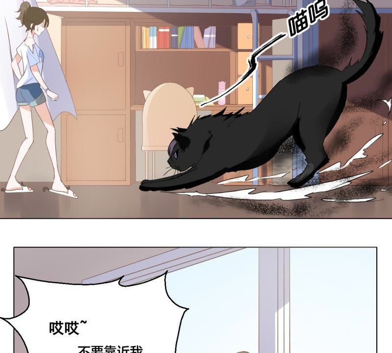 《世无良猫》漫画最新章节第4话 宿舍刺杀事件免费下拉式在线观看章节第【42】张图片