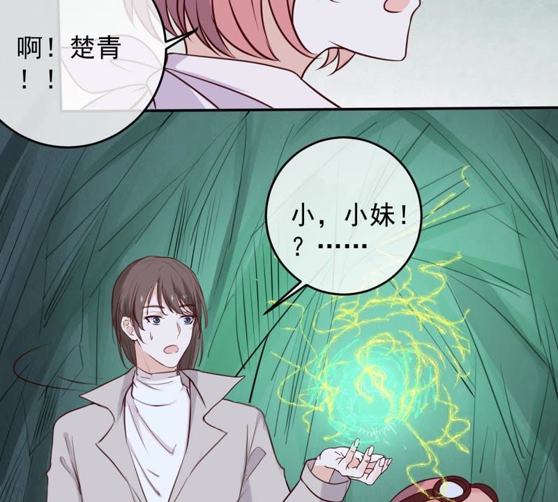 《世无良猫》漫画最新章节第42话 楚青联手戚夫人免费下拉式在线观看章节第【31】张图片