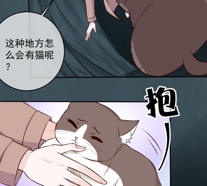 《世无良猫》漫画最新章节第43话 缪珏变渣男免费下拉式在线观看章节第【14】张图片