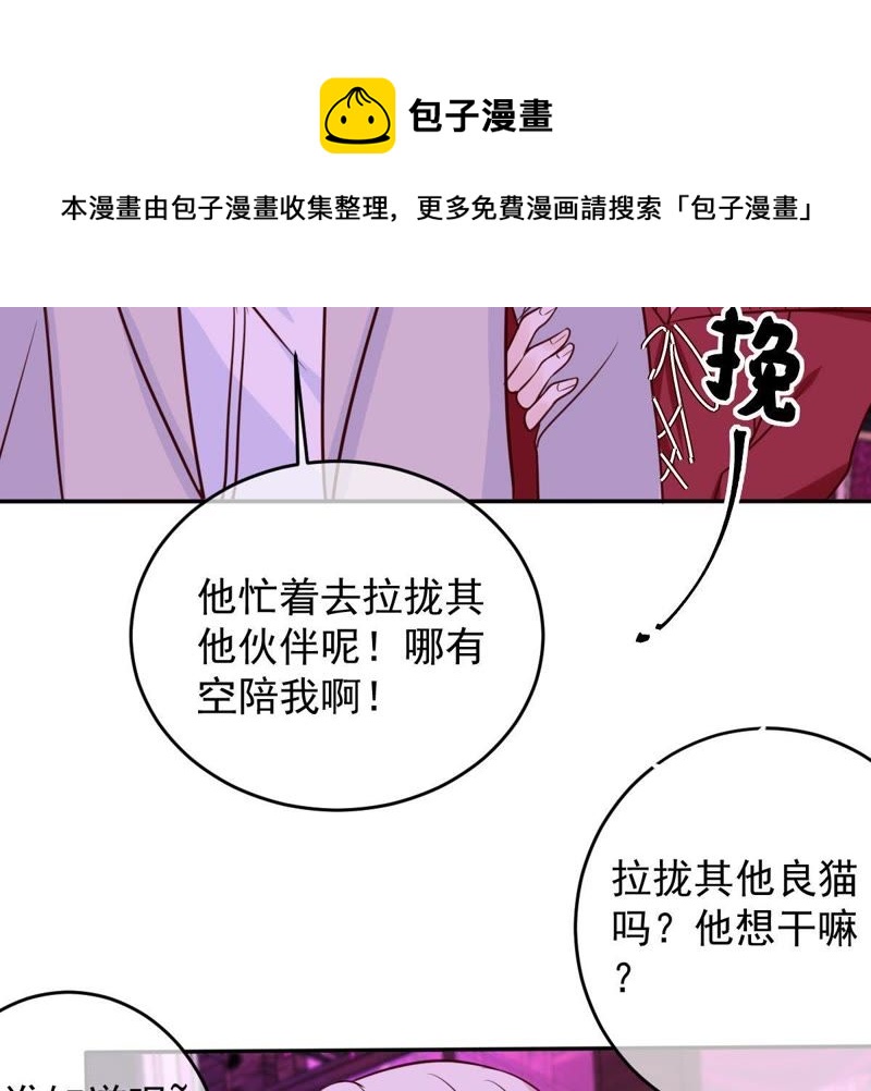 《世无良猫》漫画最新章节第44话 楚青变辣妹免费下拉式在线观看章节第【39】张图片