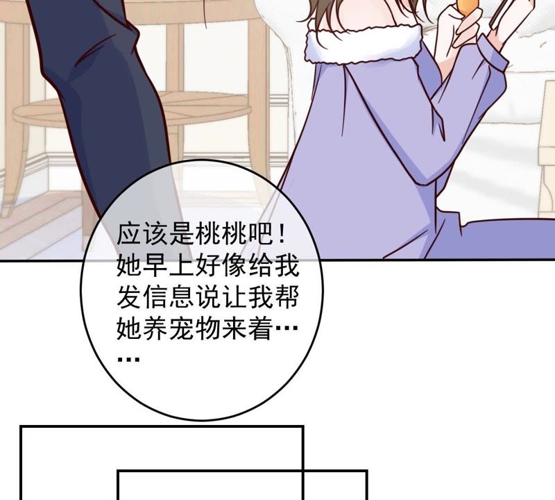 《世无良猫》漫画最新章节第47话 意外来客免费下拉式在线观看章节第【52】张图片