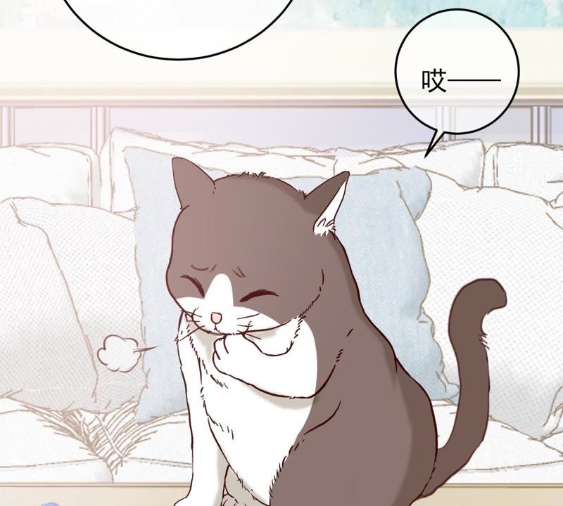 《世无良猫》漫画最新章节第48话 缪夜笙的邀请免费下拉式在线观看章节第【16】张图片