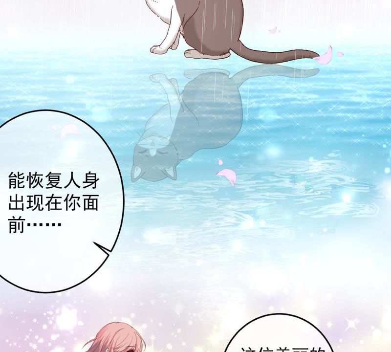 《世无良猫》漫画最新章节第48话 缪夜笙的邀请免费下拉式在线观看章节第【23】张图片