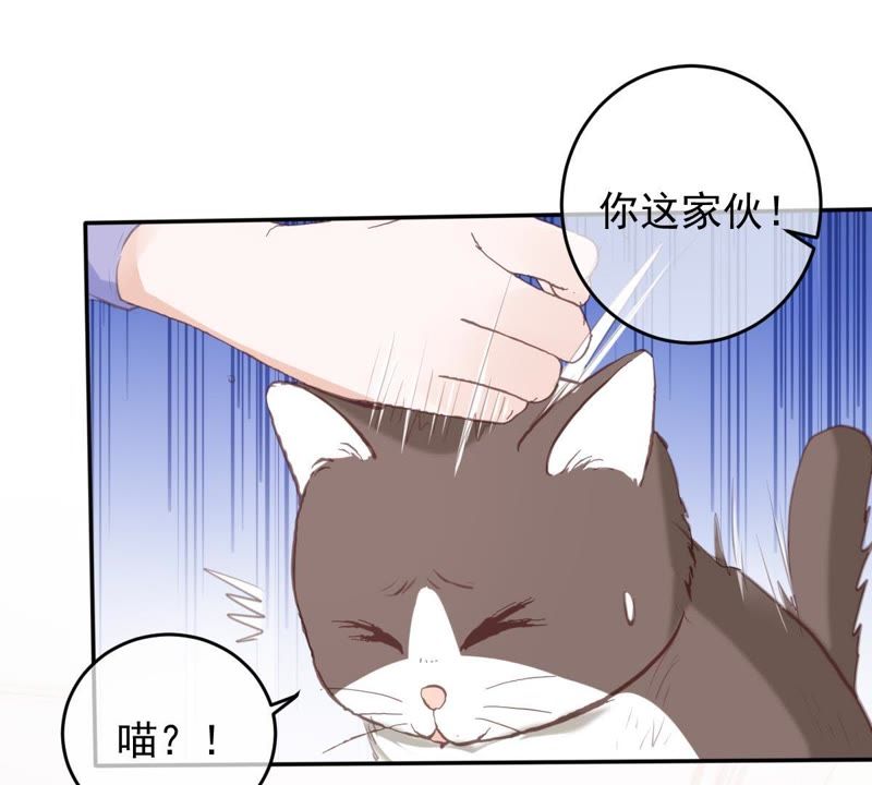 《世无良猫》漫画最新章节第48话 缪夜笙的邀请免费下拉式在线观看章节第【27】张图片