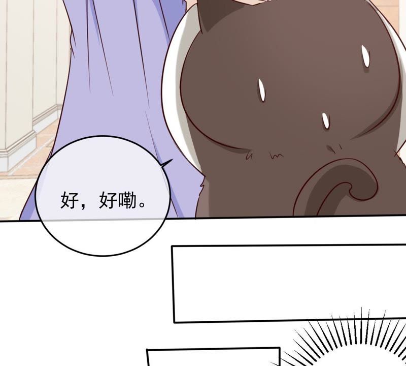 《世无良猫》漫画最新章节第48话 缪夜笙的邀请免费下拉式在线观看章节第【29】张图片