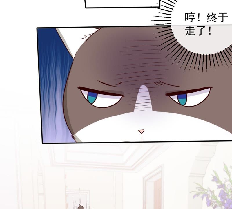 《世无良猫》漫画最新章节第48话 缪夜笙的邀请免费下拉式在线观看章节第【30】张图片