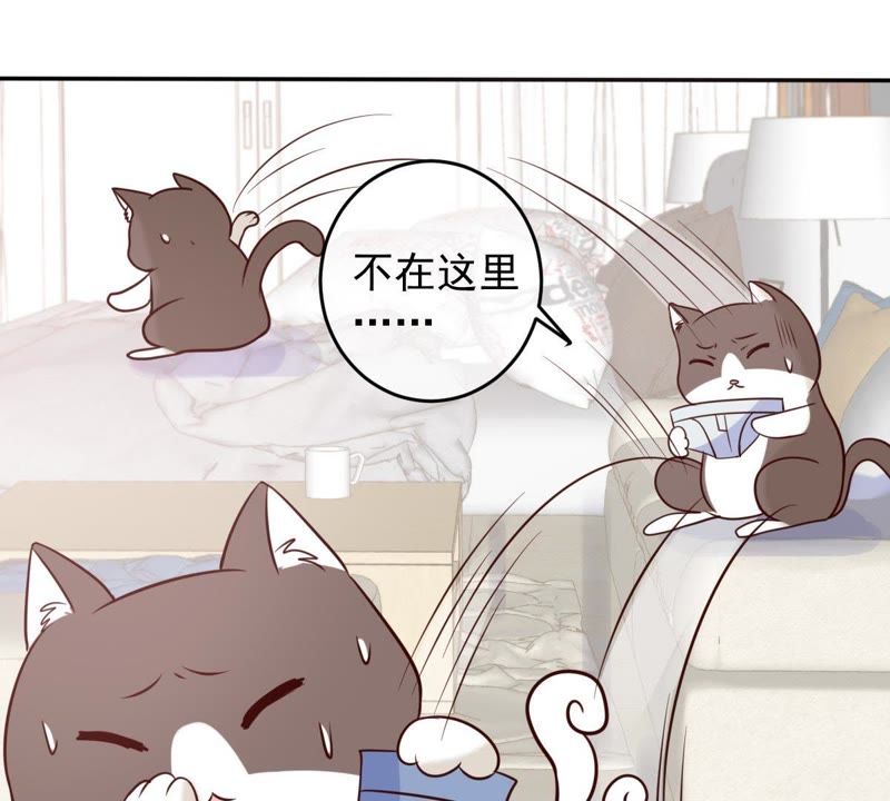 《世无良猫》漫画最新章节第48话 缪夜笙的邀请免费下拉式在线观看章节第【36】张图片