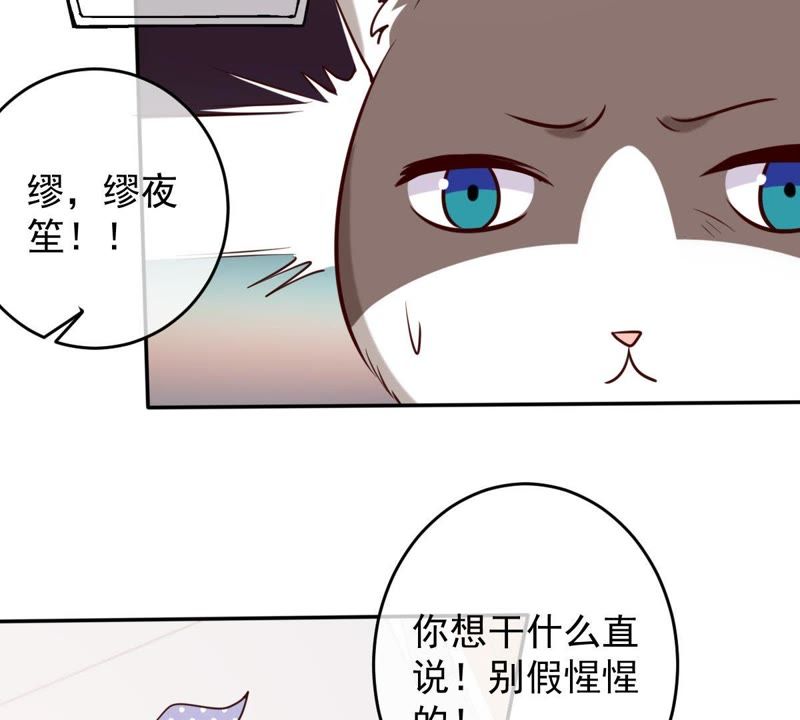 《世无良猫》漫画最新章节第48话 缪夜笙的邀请免费下拉式在线观看章节第【50】张图片