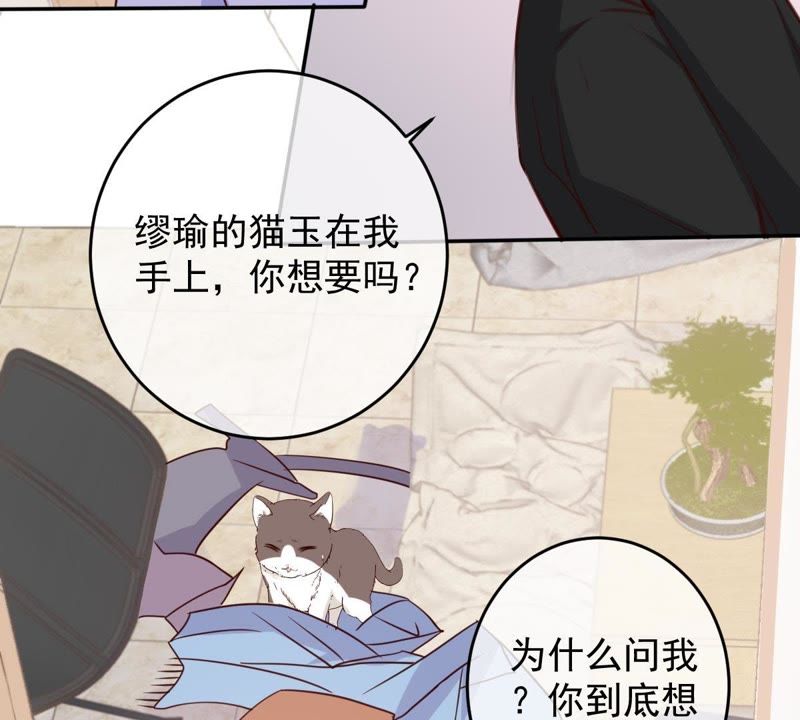 《世无良猫》漫画最新章节第48话 缪夜笙的邀请免费下拉式在线观看章节第【52】张图片