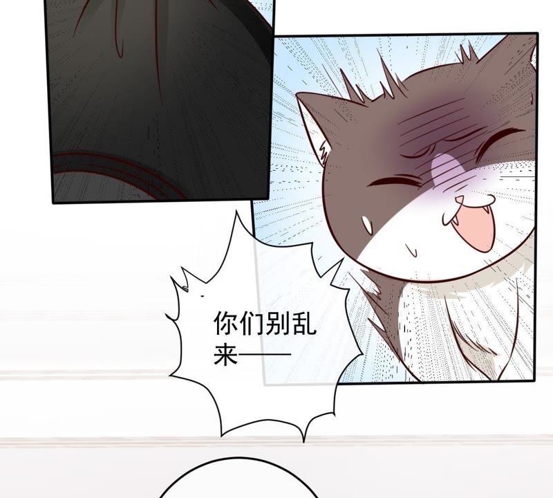 《世无良猫》漫画最新章节第48话 缪夜笙的邀请免费下拉式在线观看章节第【6】张图片