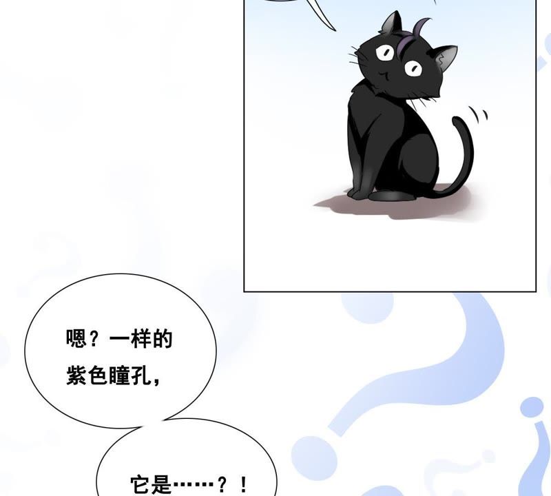 《世无良猫》漫画最新章节第5话 天使学长降临免费下拉式在线观看章节第【42】张图片