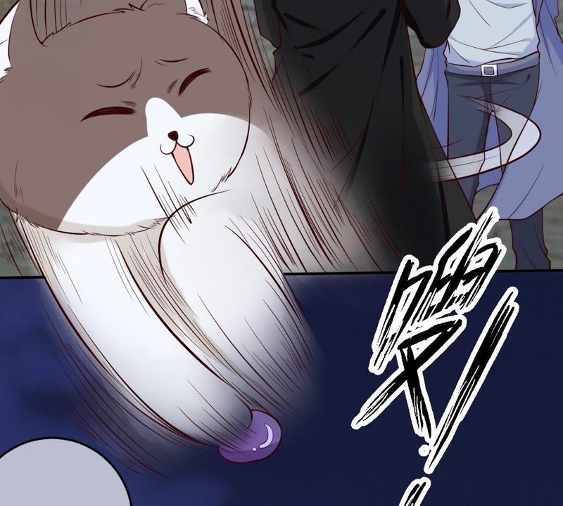 《世无良猫》漫画最新章节第50话 楚青缪玖遇险免费下拉式在线观看章节第【18】张图片