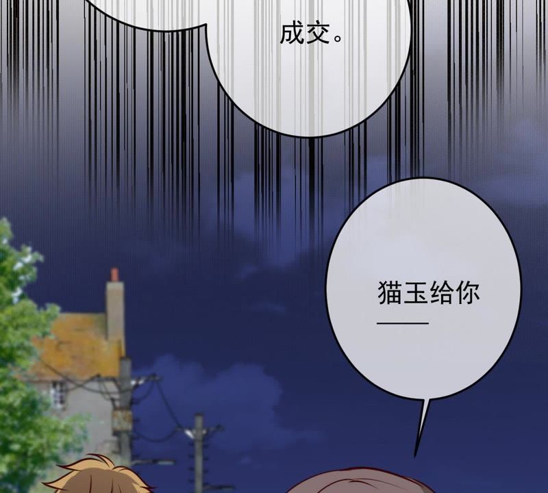 《世无良猫》漫画最新章节第53话 满眼都是你免费下拉式在线观看章节第【12】张图片