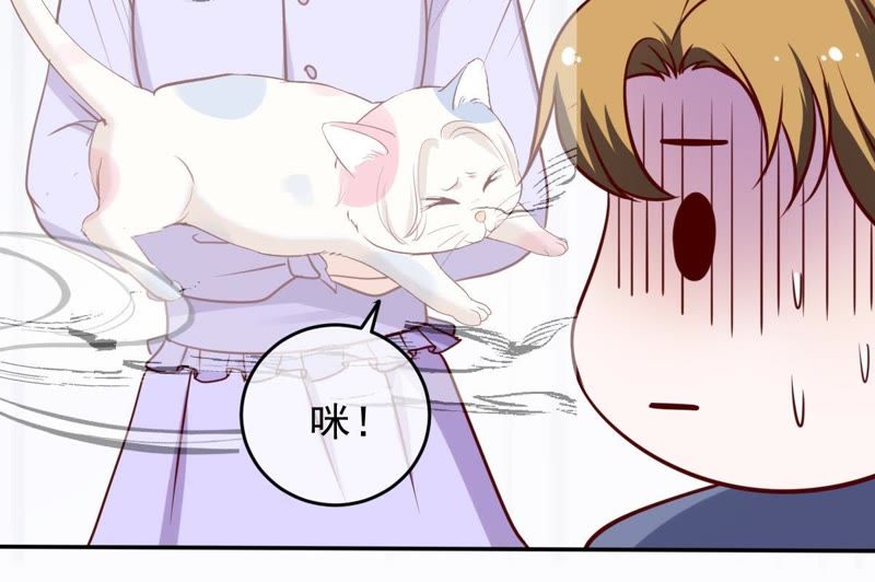 《世无良猫》漫画最新章节第60话 花魁缪西提免费下拉式在线观看章节第【37】张图片