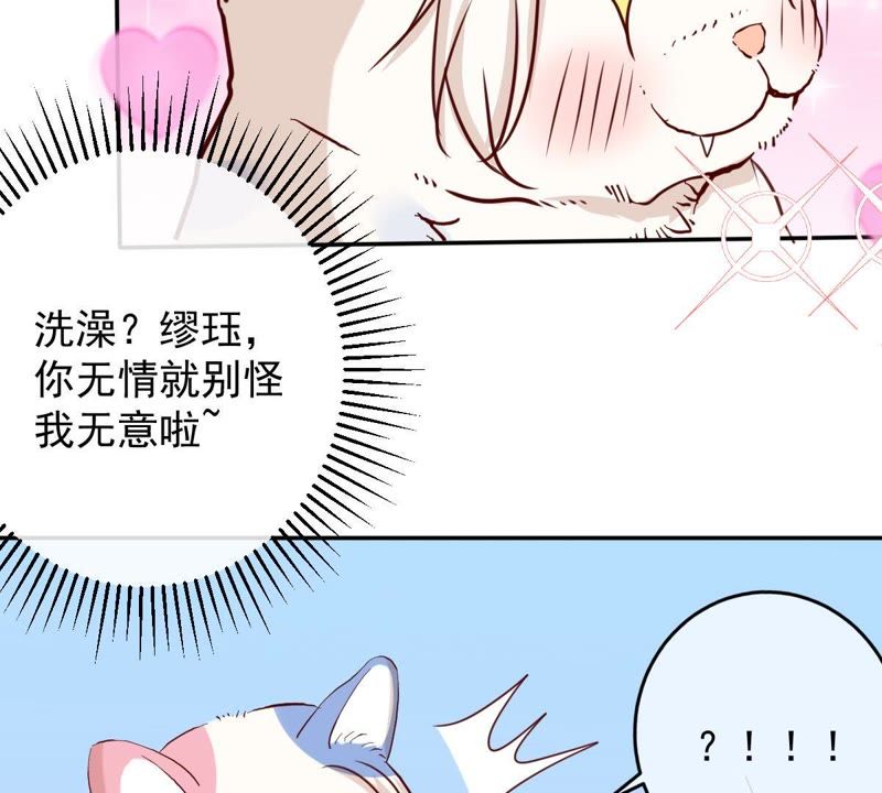 《世无良猫》漫画最新章节第60话 花魁缪西提免费下拉式在线观看章节第【47】张图片