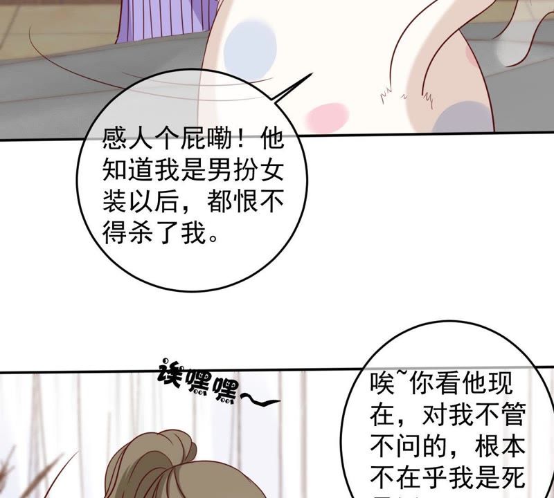 《世无良猫》漫画最新章节第64话 猫玉争夺战免费下拉式在线观看章节第【13】张图片