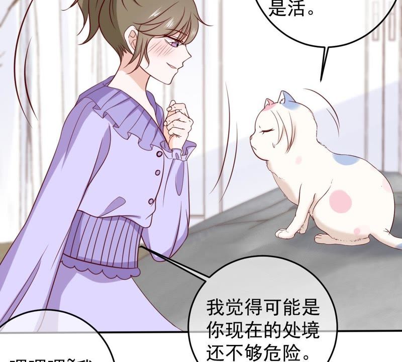 《世无良猫》漫画最新章节第64话 猫玉争夺战免费下拉式在线观看章节第【14】张图片