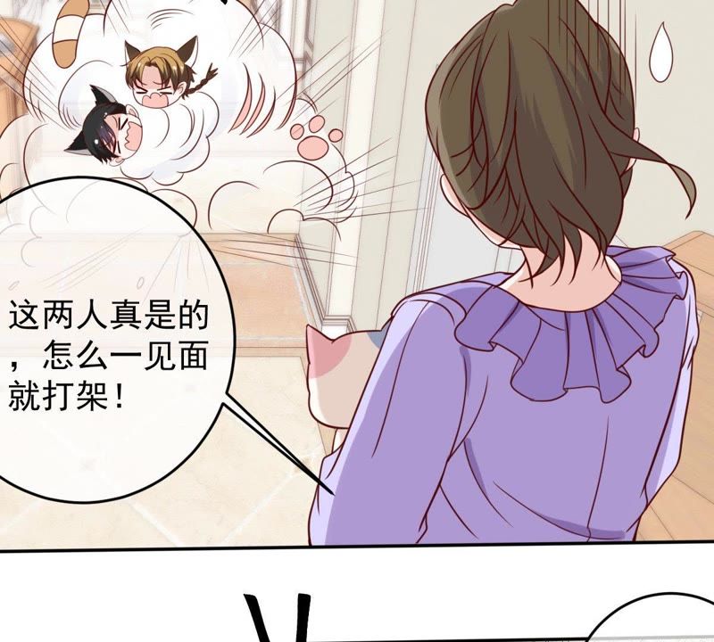 《世无良猫》漫画最新章节第64话 猫玉争夺战免费下拉式在线观看章节第【30】张图片