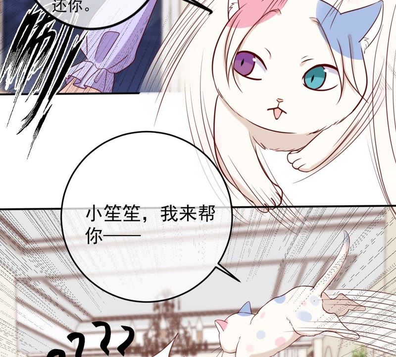 《世无良猫》漫画最新章节第64话 猫玉争夺战免费下拉式在线观看章节第【32】张图片