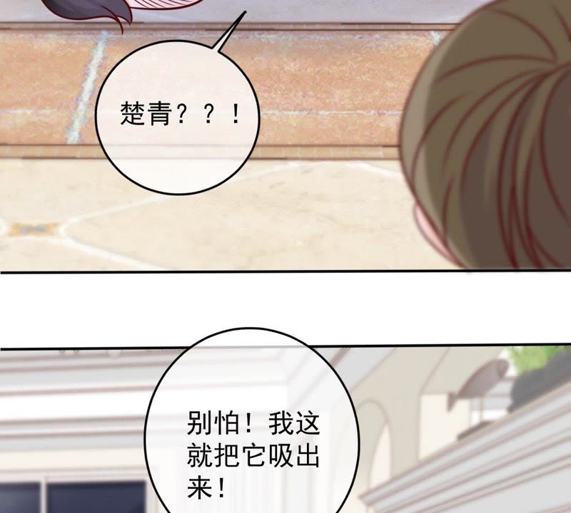 《世无良猫》漫画最新章节第64话 猫玉争夺战免费下拉式在线观看章节第【51】张图片