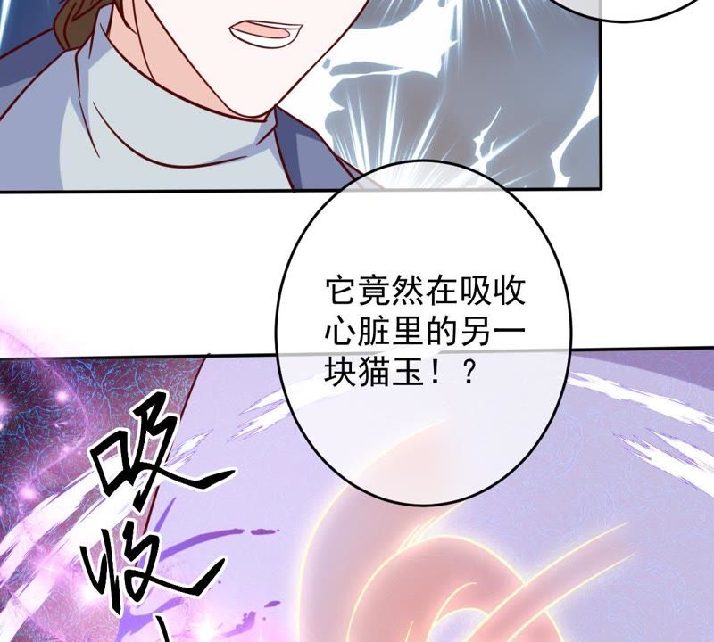 《世无良猫》漫画最新章节第65话 女人心思你别猜免费下拉式在线观看章节第【6】张图片