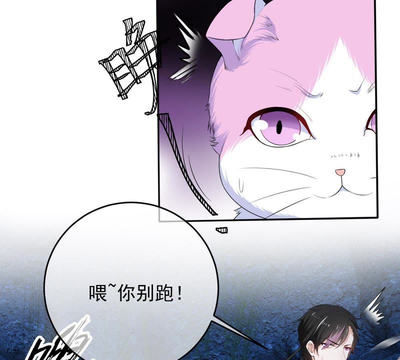 《世无良猫》漫画最新章节第70话 新的盟友免费下拉式在线观看章节第【37】张图片