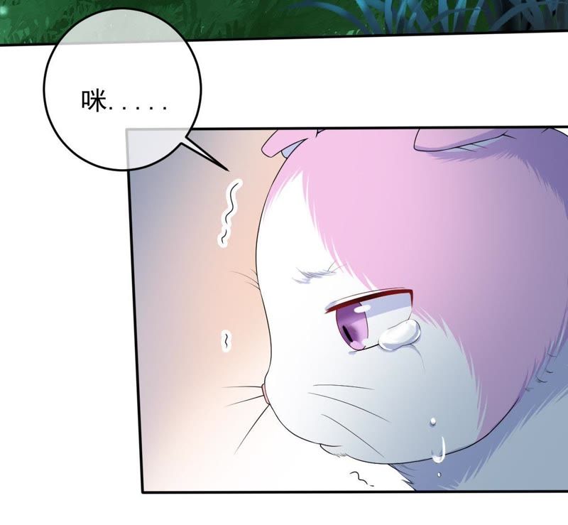 《世无良猫》漫画最新章节第70话 新的盟友免费下拉式在线观看章节第【41】张图片