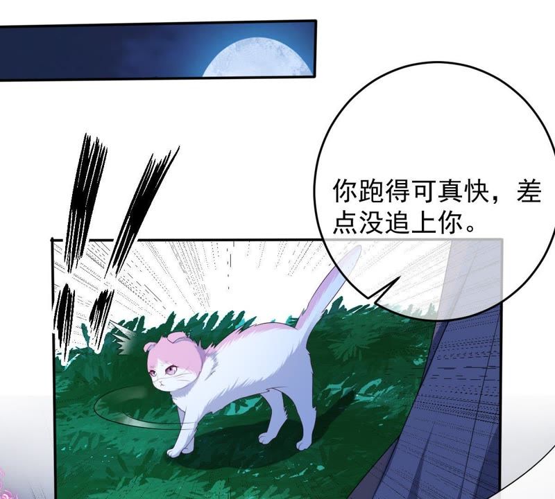 《世无良猫》漫画最新章节第70话 新的盟友免费下拉式在线观看章节第【42】张图片