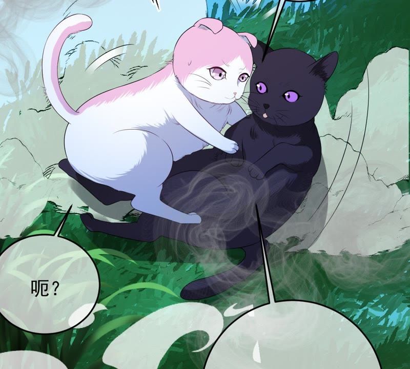 《世无良猫》漫画最新章节第70话 新的盟友免费下拉式在线观看章节第【46】张图片